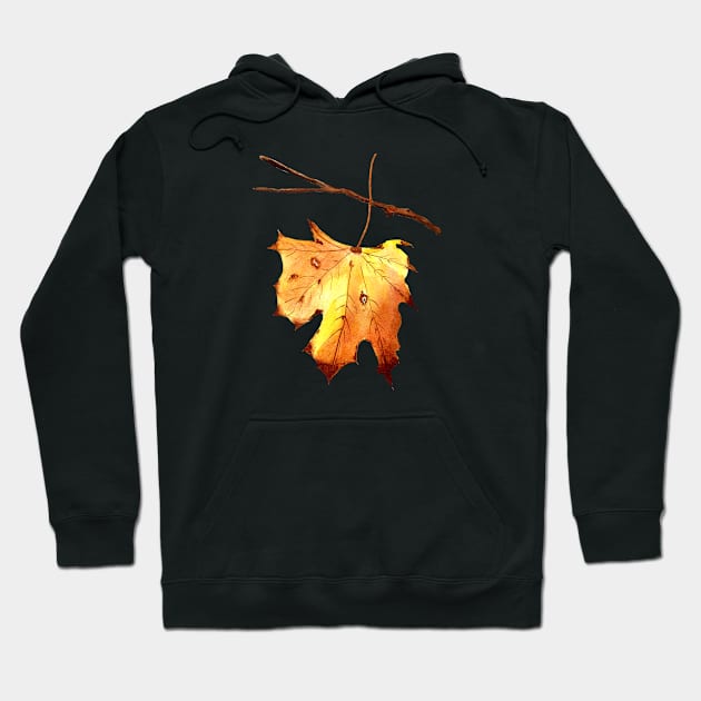 Autumn Maple Leaf Watercolor Painting Hoodie by MMcBuck